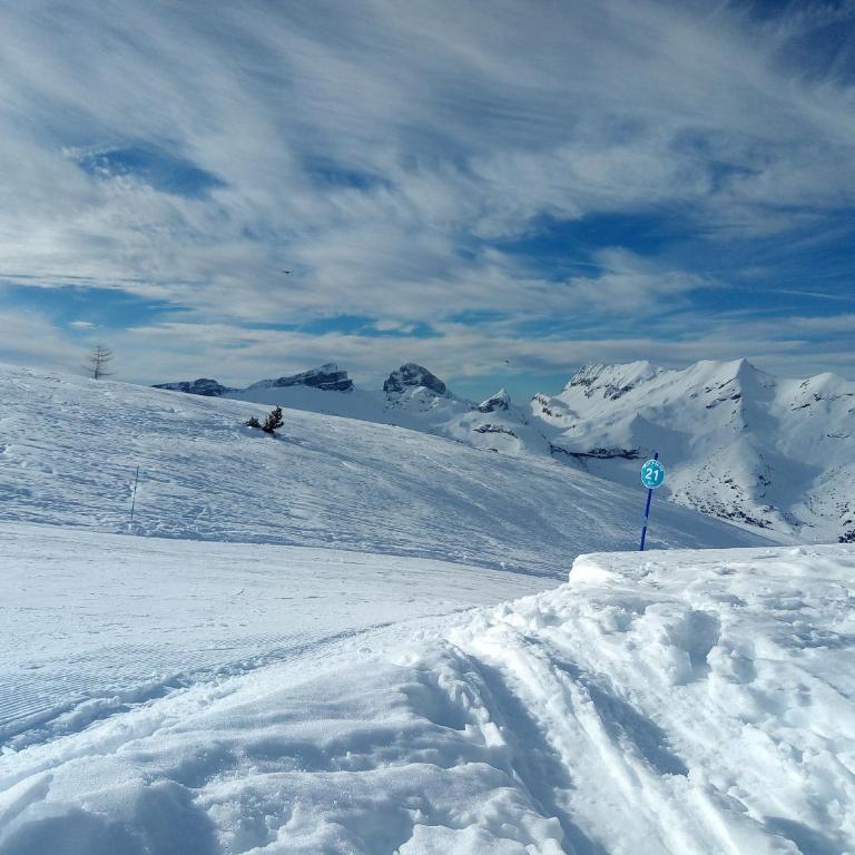 La joue du loup, aux pieds des pistes et vue sur montagnes - Apartamento de 1 dormitorio - 23