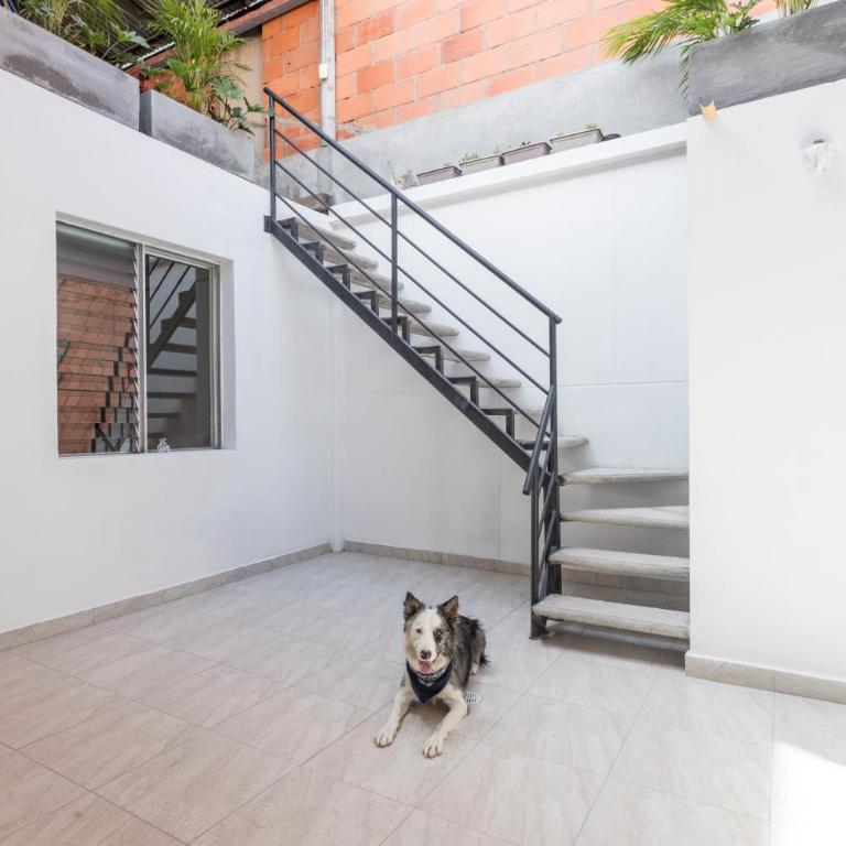 Gastón Coliving - Double Room with Private Bathroom - 3