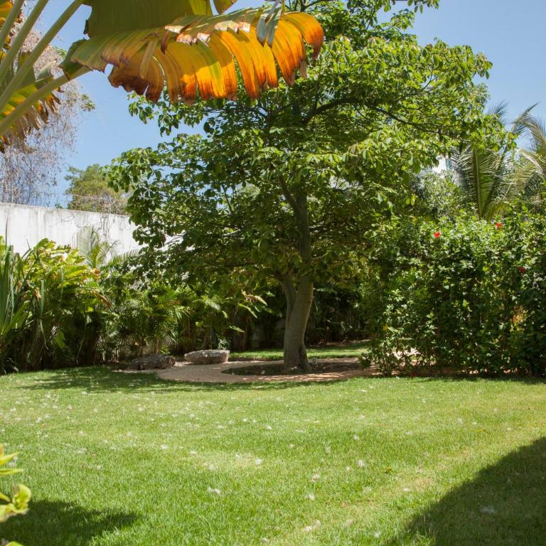 Beautiful Private Villa for 16 PAX with garden, BBQ and pool, Playa del Carmen - Six-Bedroom House - 50
