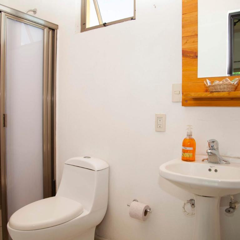 Beautiful Private Villa for 16 PAX with garden, BBQ and pool, Playa del Carmen - Six-Bedroom House - 59