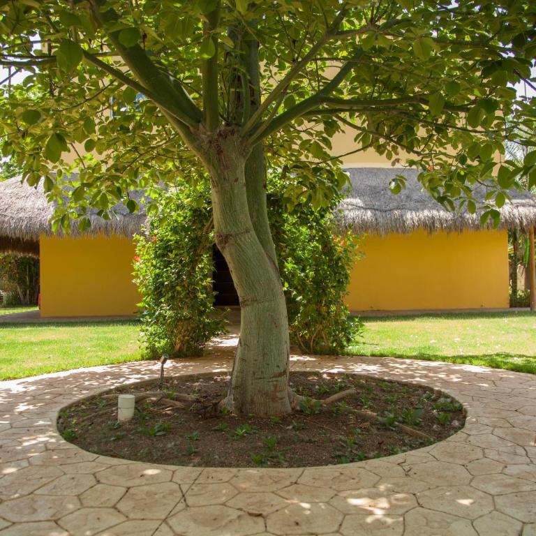 Beautiful Private Villa for 16 PAX with garden, BBQ and pool, Playa del Carmen - Six-Bedroom House - 54