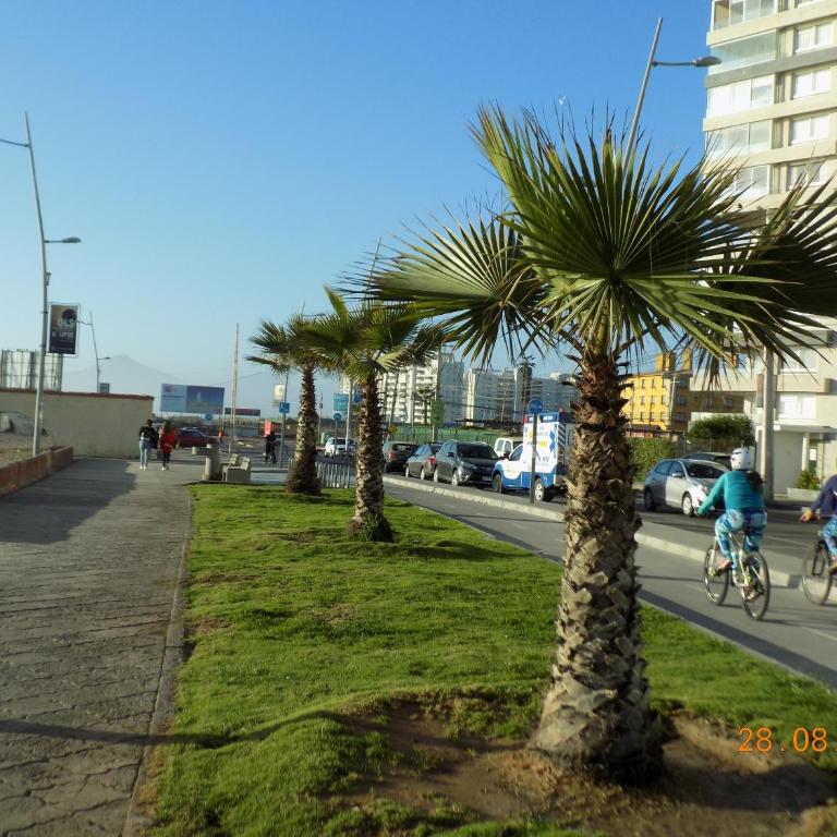 Hermoso departamento a pasos de avenida del mar - Two-Bedroom Apartment - 9