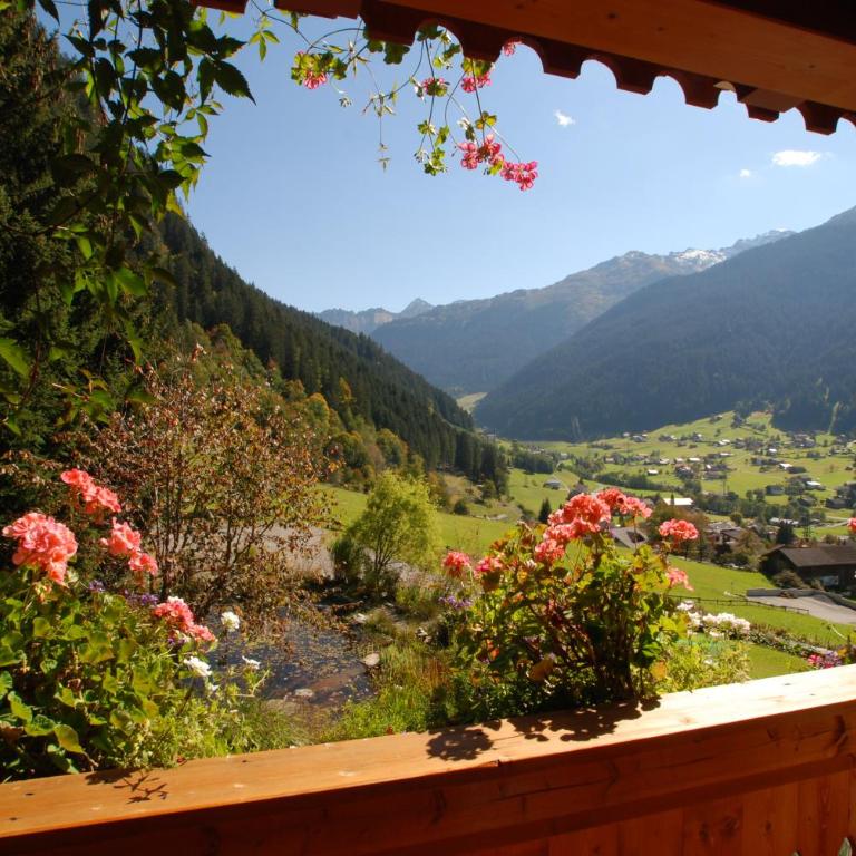 Appart Fernblick - Apartment mit 1 Schlafzimmer und Balkon - 3