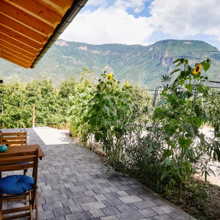 Gisshübelhof - Appartamento con 1 Camera da Letto - 7