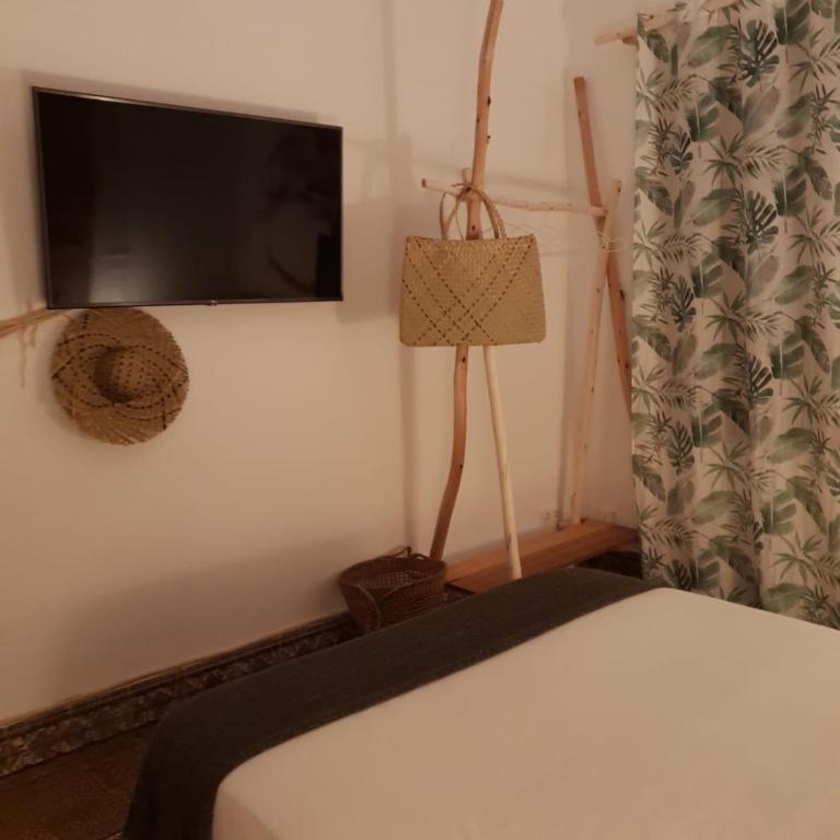 Cactus Host - Suite Estándar - 18