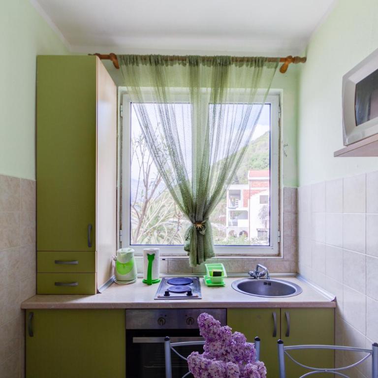 Apartmani Vesna - Apartman sa 1 Spavaćom Sobom - 6