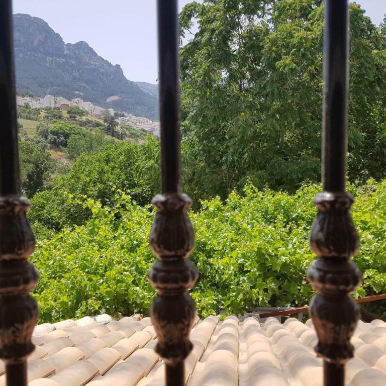 Casa Esteban - Casa de 5 dormitorios - 42