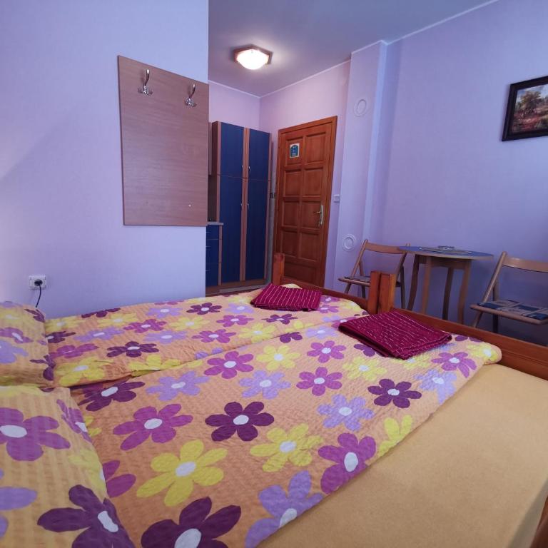 Vila Paun - Studio Apartman - 4