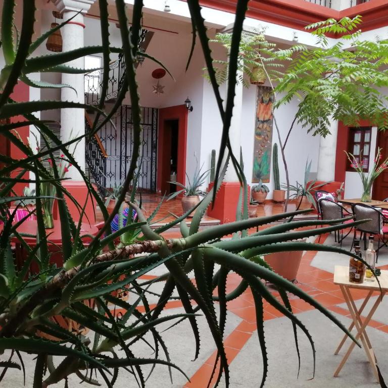 Casa Agave Oaxaca - Habitación Doble con baño privado - 4