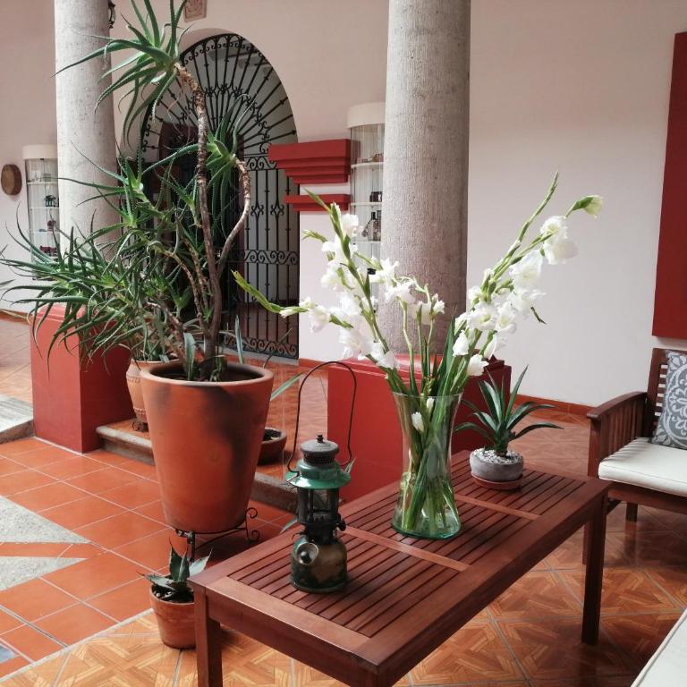 Casa Agave Oaxaca - Habitación Doble con baño privado - 3