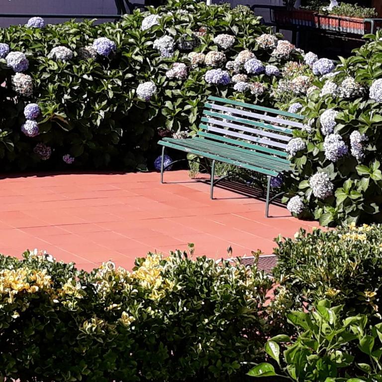 Al giardino Sant'Anna - Appartamento - 15