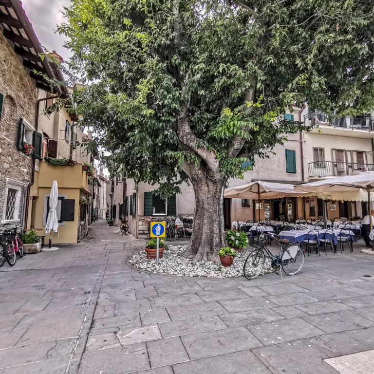 Calle del Palazzo - Appartamento con 2 Camere da Letto - 15