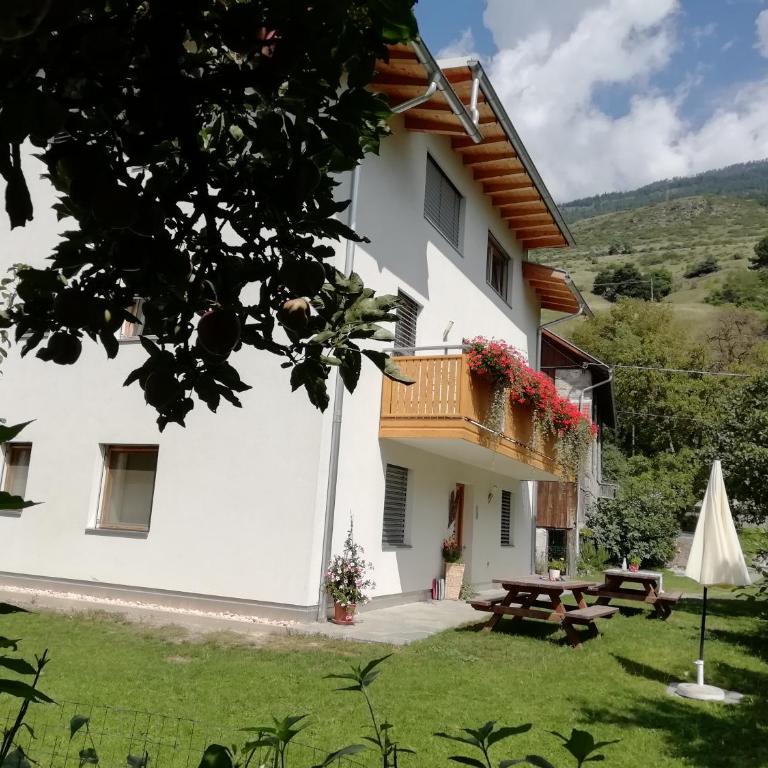 Pferdehof Ansteingut - Apartamento de 1 dormitorio - 12