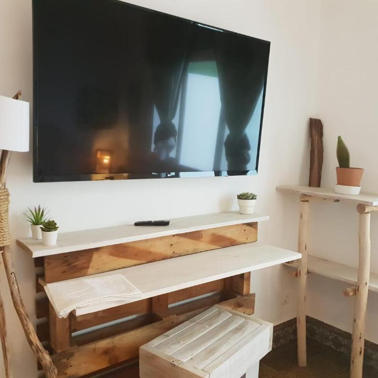 Cactus Host - Suite - 23