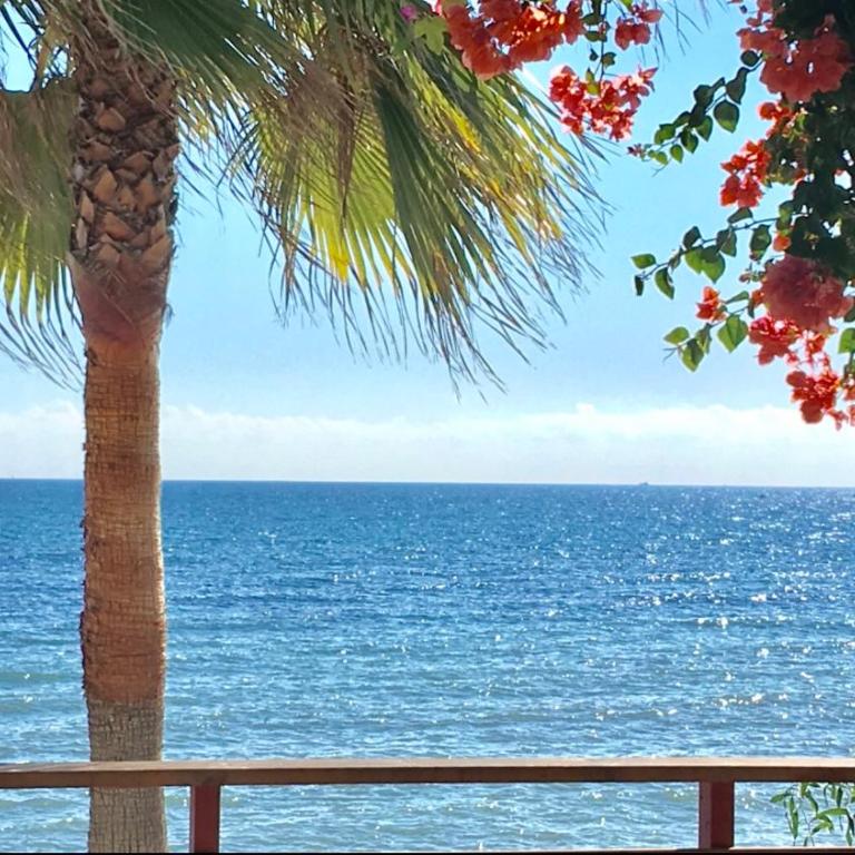 MI CAPRICHO BEACHFRONT 211 - Apartment with sea view - Costa del Sol - Apartamento de 2 dormitorios - 55