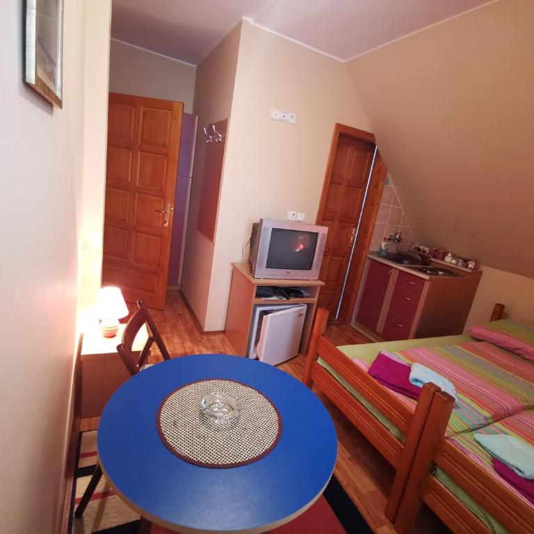 Vila Paun - Studio - 2