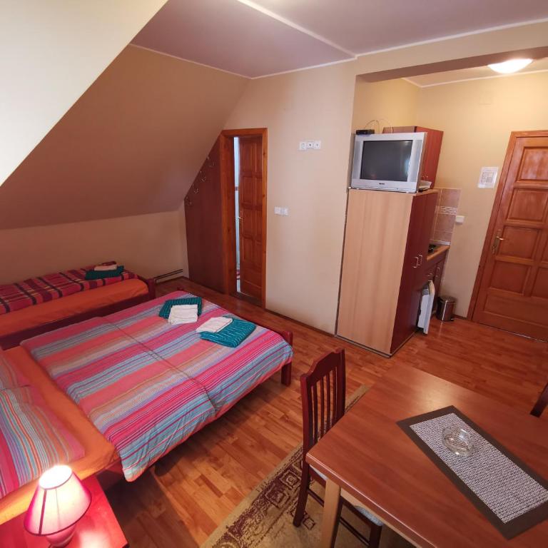 Vila Paun - Studio Apartman - 3