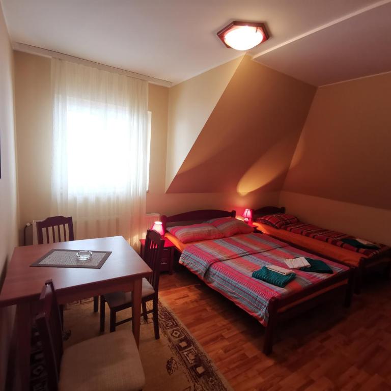 Vila Paun - Studio Apartman - 4