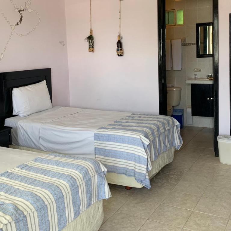 Hotel Santa Ana - Double or Twin Room - 4