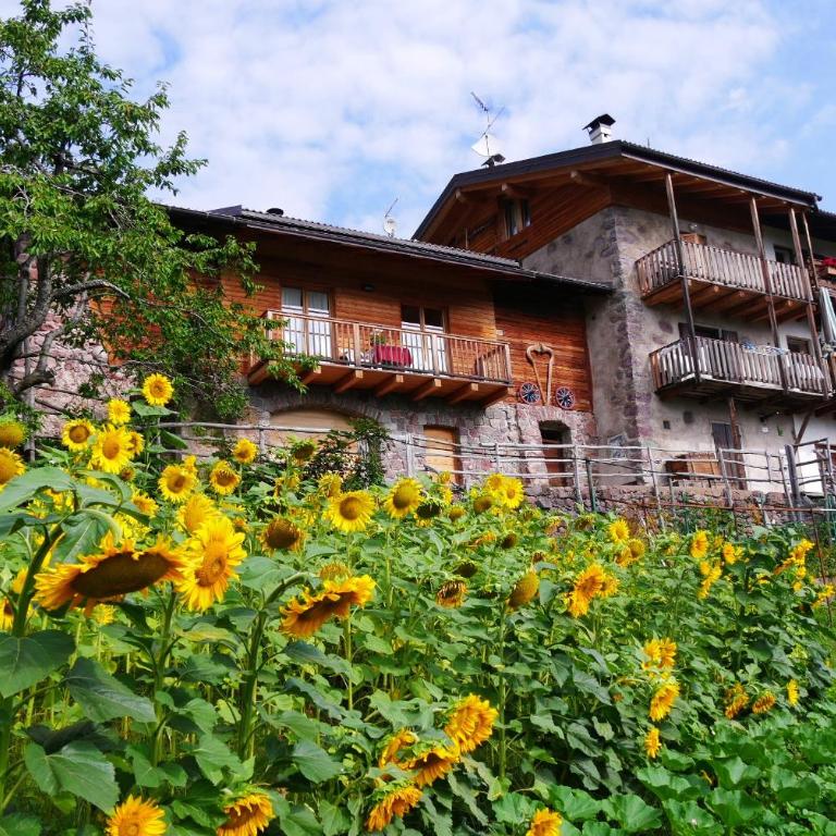 Baita Cavecia - Chalet - 1