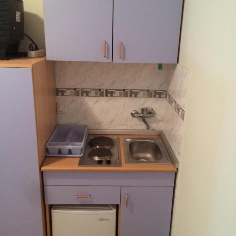 Vila Paun - Studio Apartman - 1