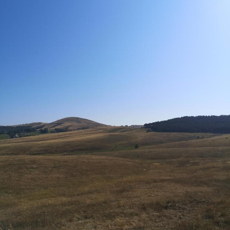 Zlatibor Hills Zozon - Apartman - 38