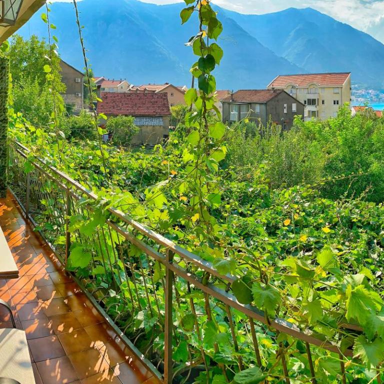Apartments Jovana - Apartment with Sea View - 5