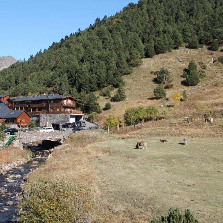 ESTANYOL - Vall d'Incles - Soldeu Hut 5896 - Apartment mit 1 Schlafzimmer - 18