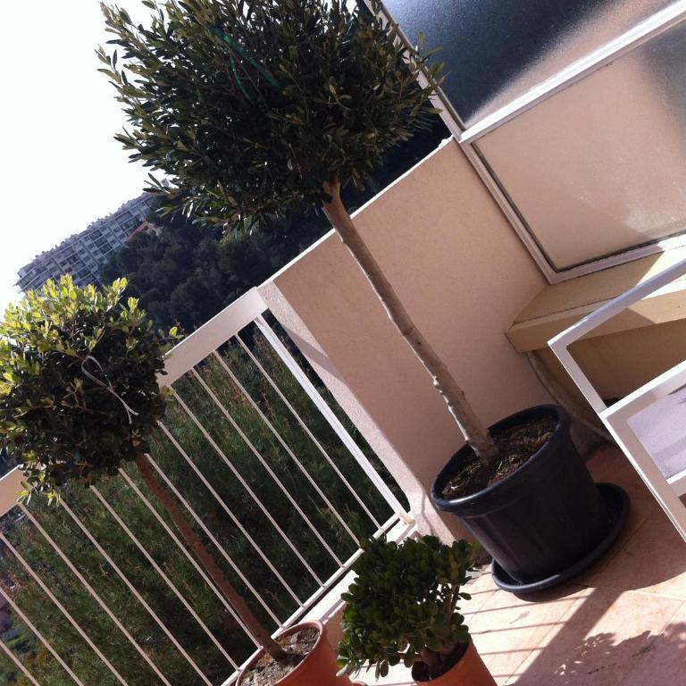 La Madonette - Appartement 2 Chambres - 25