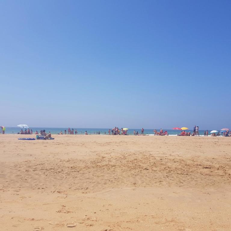 Conil con sabor a mar - Apartamento de 2 dormitorios - 50