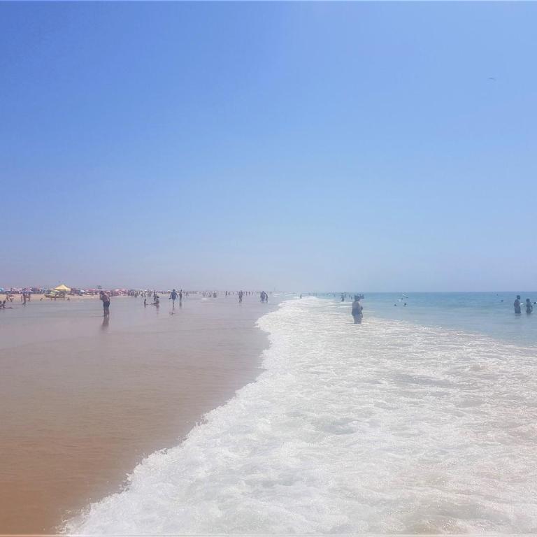 Conil con sabor a mar - Apartamento de 2 dormitorios - 51