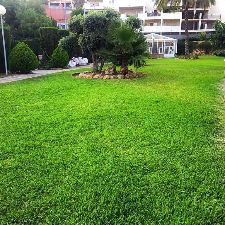 Seaview Apartment with Great Amenities & Facilities - One-Bedroom Apartment - 23