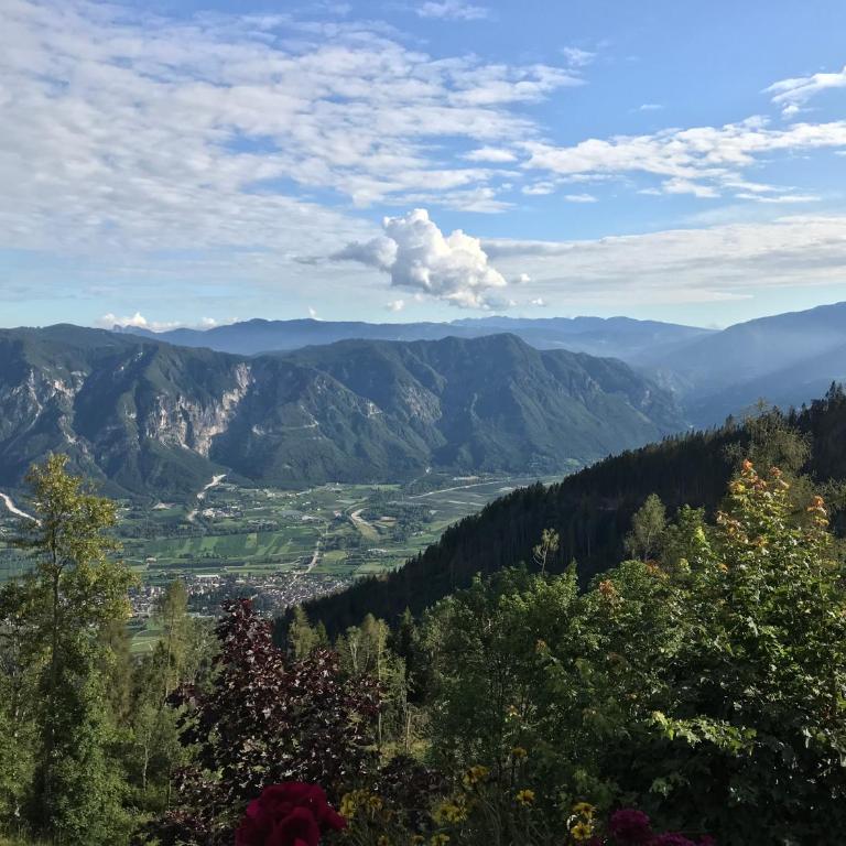 Villa Gioia - Appartamento con 2 Camere da Letto - 36