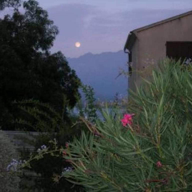 RESIDENCE SANTA REGINA - Appartamento con 3 Camere da Letto - 3