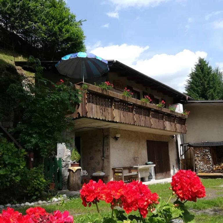 CASETTA INDIPENDENTE NEL VERDE PER 2/3 PERSONE - Casa con 1 dormitorio - 1