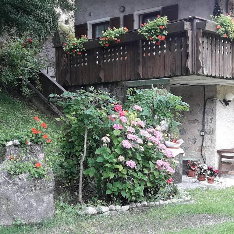 CASETTA INDIPENDENTE NEL VERDE PER 2/3 PERSONE - Casa con 1 dormitorio - 8