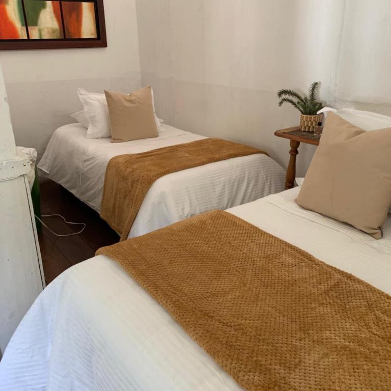 Ecohotel Pinohermoso Reserva Natural - Habitación Triple Estándar - 2