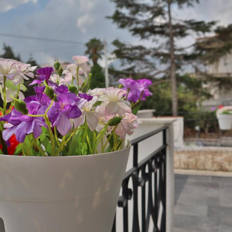 Fiore di Loto Rooms - Camera Matrimoniale Deluxe con Balcone - 55