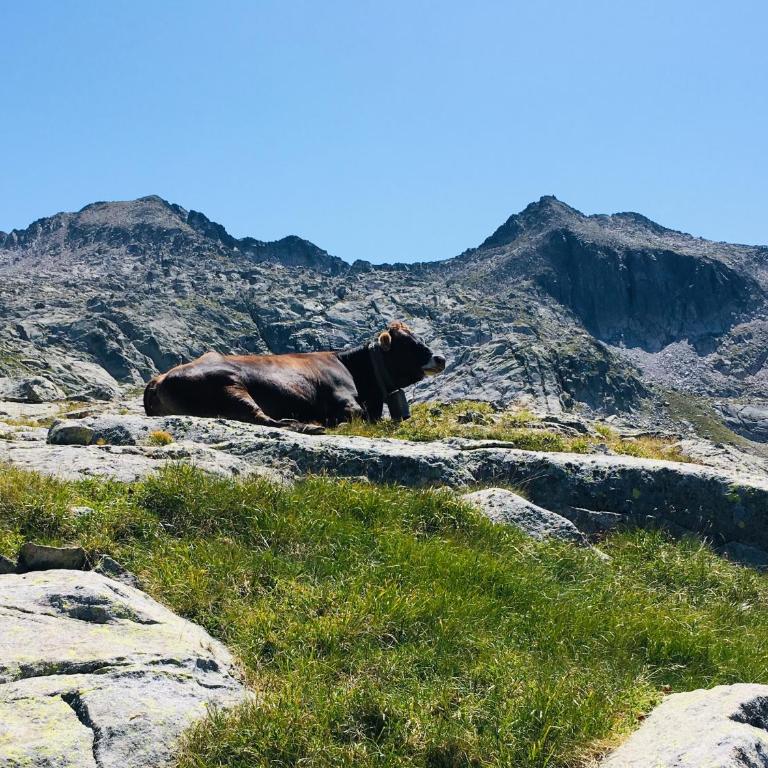 Casa Irissa - Casa - 41