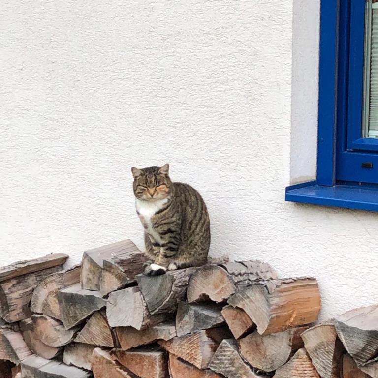 Haus Sonnenweg - Haus mit 3 Schlafzimmern und Garten - 6