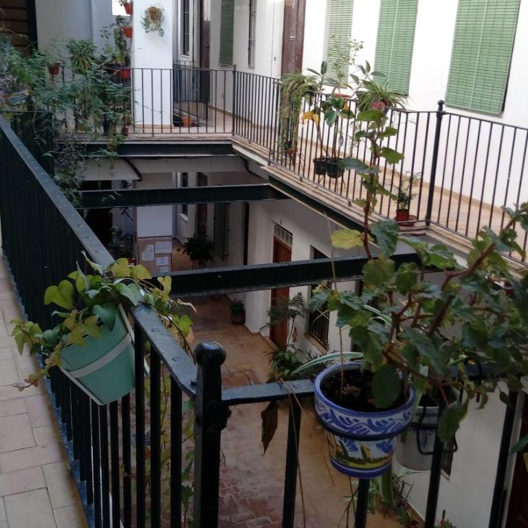 Acogedor Apartamento en Triana Sevilla - Apartamento - 20
