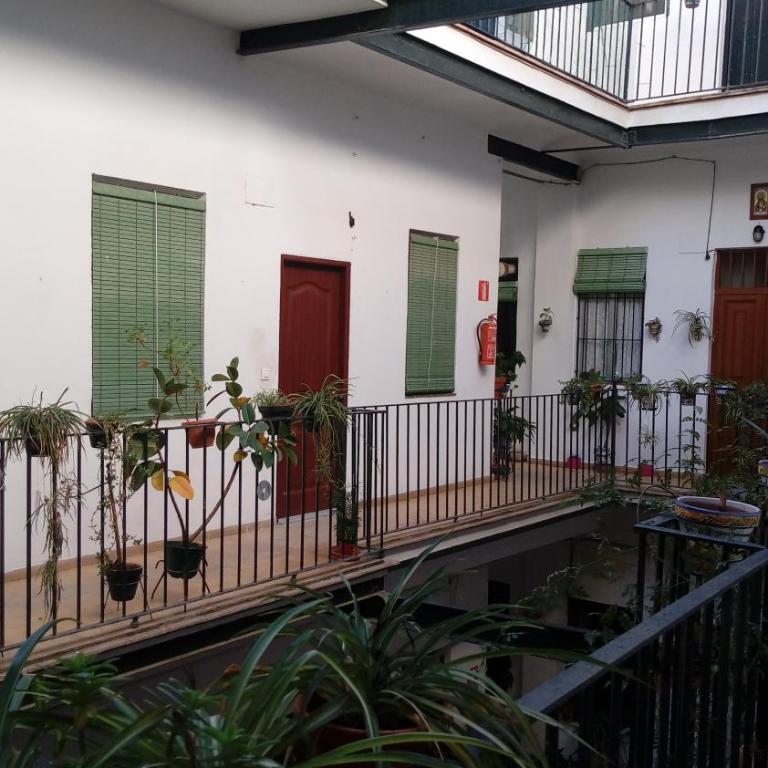 Acogedor Apartamento en Triana Sevilla - Apartamento - 23