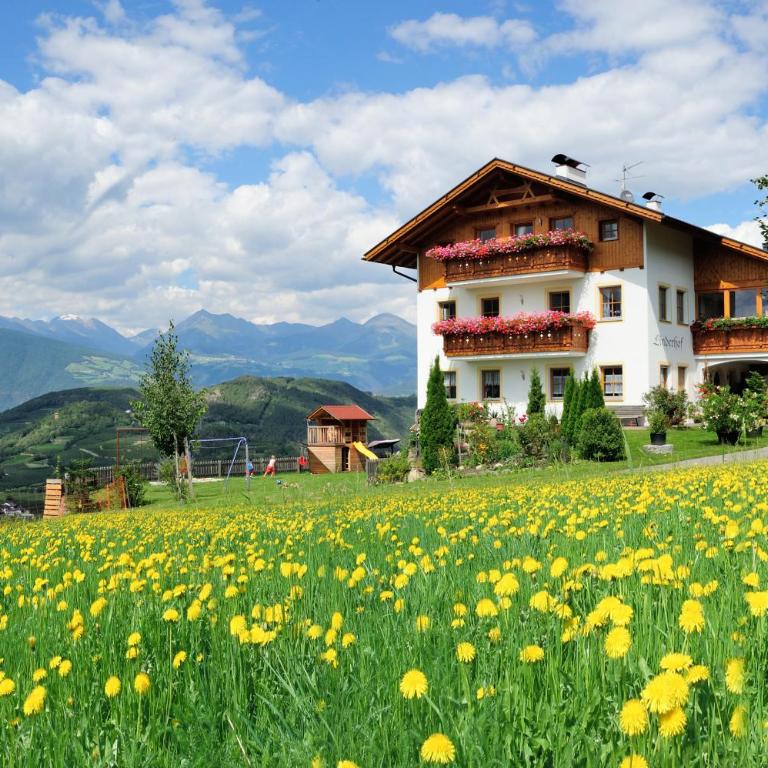 Linderhof - Apartamento de 2 dormitorios - 1