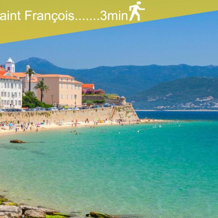 Le Studio du Cardinal Central/ Wifi/ Ajaccio à pieds! - Appartement 1 Chambre - 21
