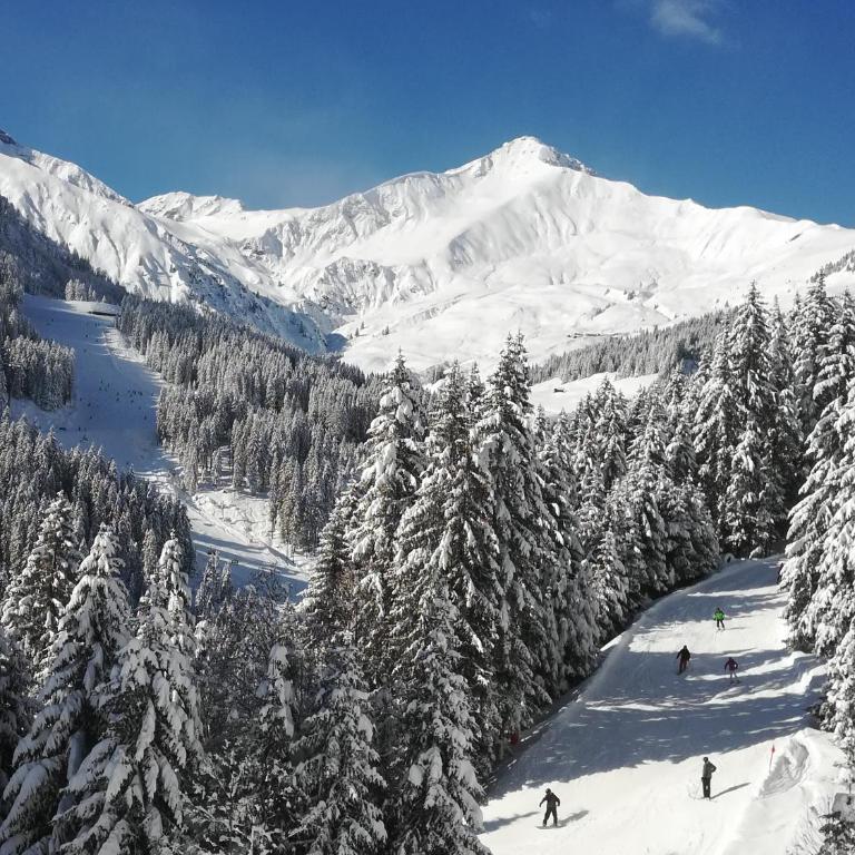 Haus Stadler - Apartment mit Blick auf die Berge - 16