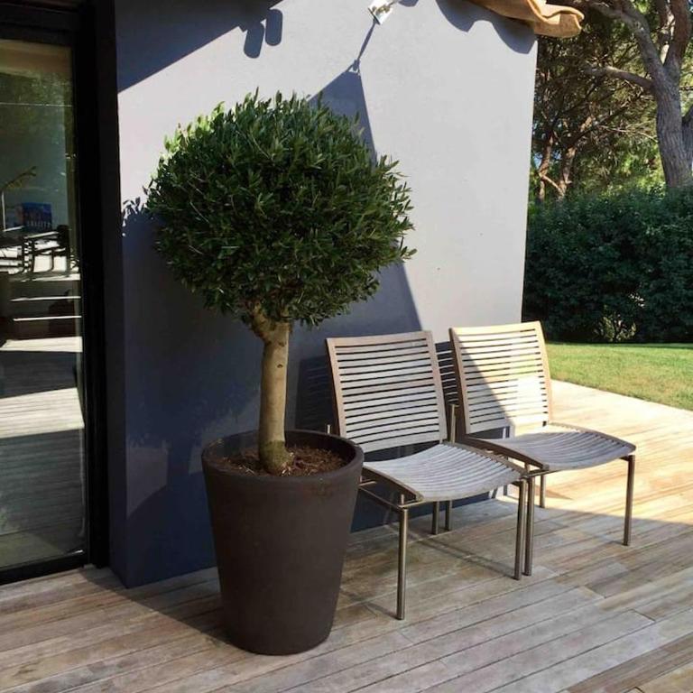 Villa Nostra - Villa avec Piscine Privée - 15