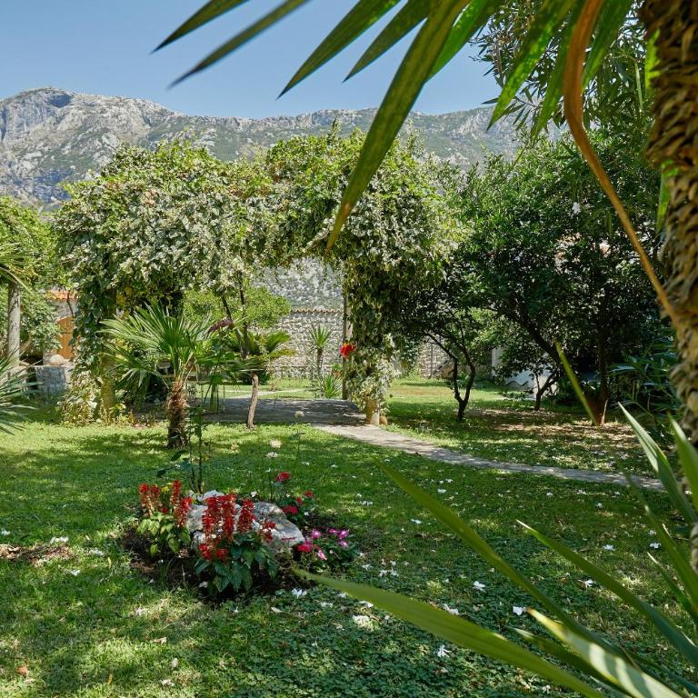 Mediterranean Holiday House & Apartments - Villa - Beach Front - 35
