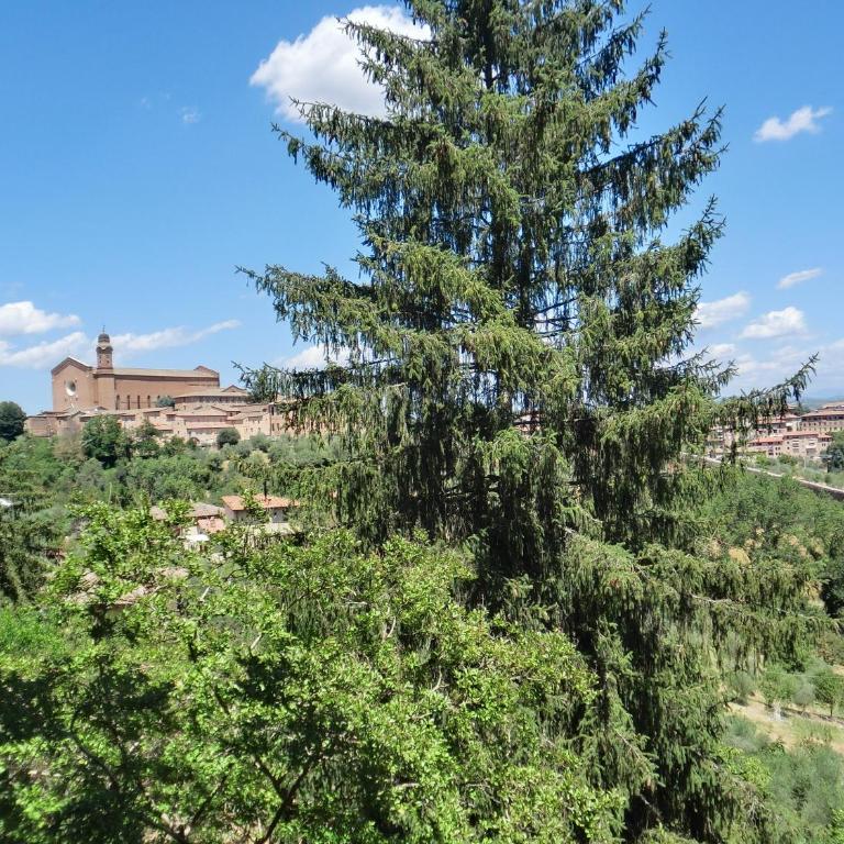 B&B Pantaneto - Palazzo Bulgarini - Camera Matrimoniale con Bagno Privato Esterno - 8