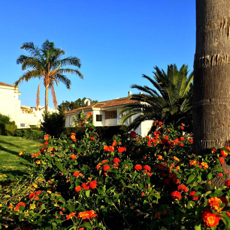 Bahia De Casares - Apartamento - 7
