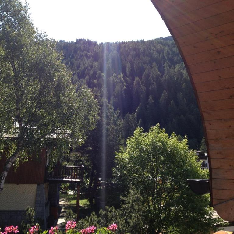 Hotel Chalet all'Imperatore - Camera Matrimoniale/Doppia con Letti Singoli - 4